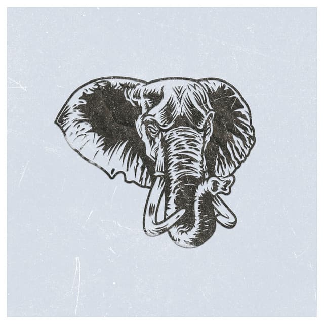 Bleeker — Elephant