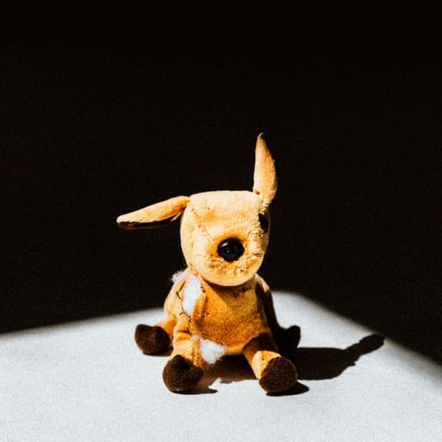Palebloom — Maybe I'm Not That Alright