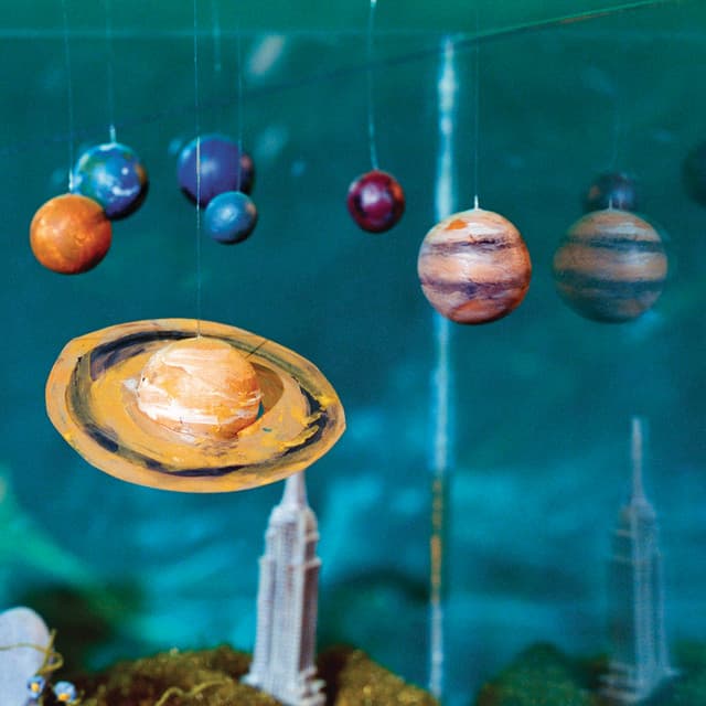 Bodega — All Inside Aquarium