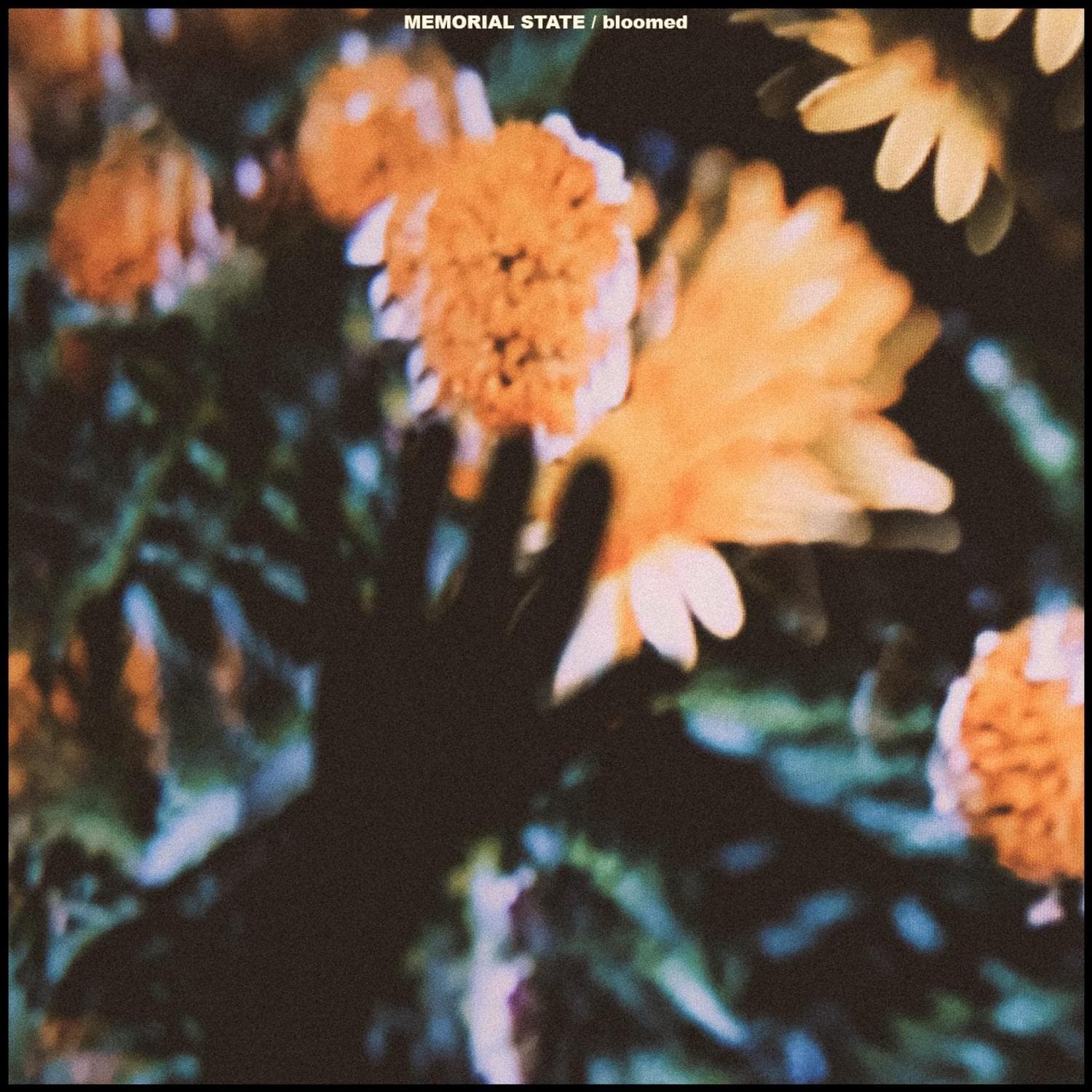 Cover art for Bloomed