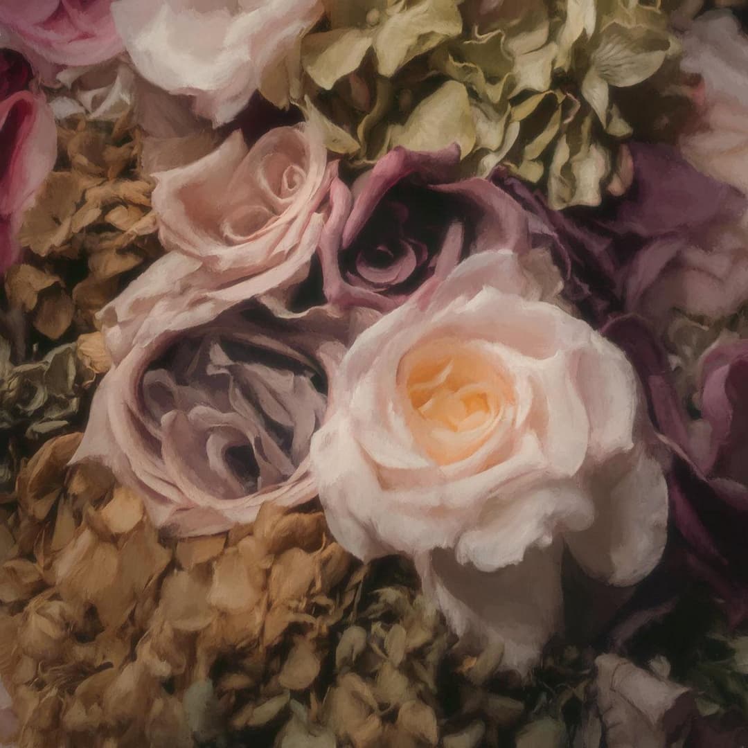 image of Ceremonia