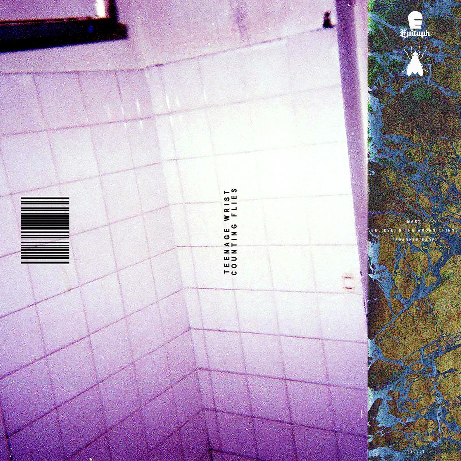 Cover art for Counting Flies