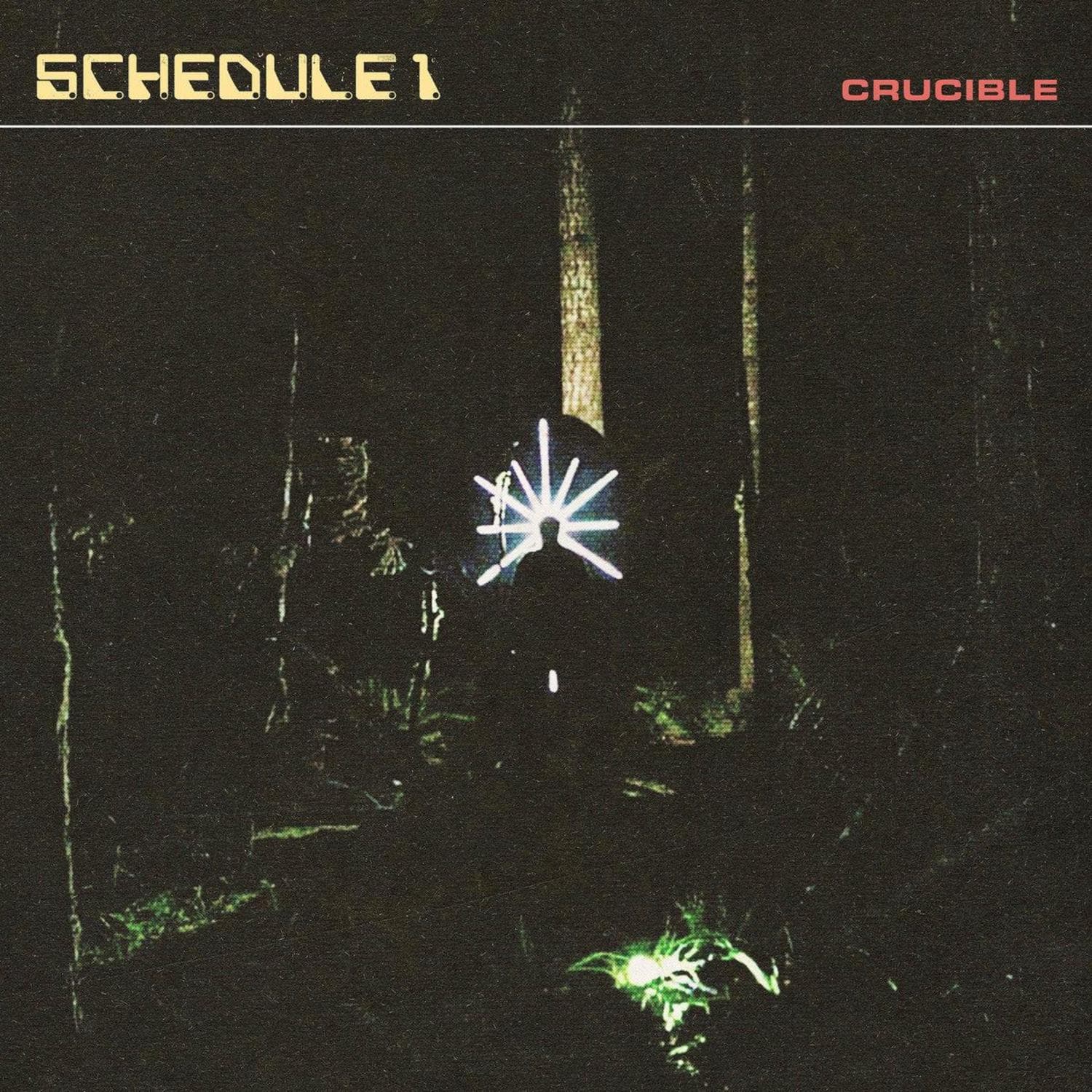 Cover art for Crucible
