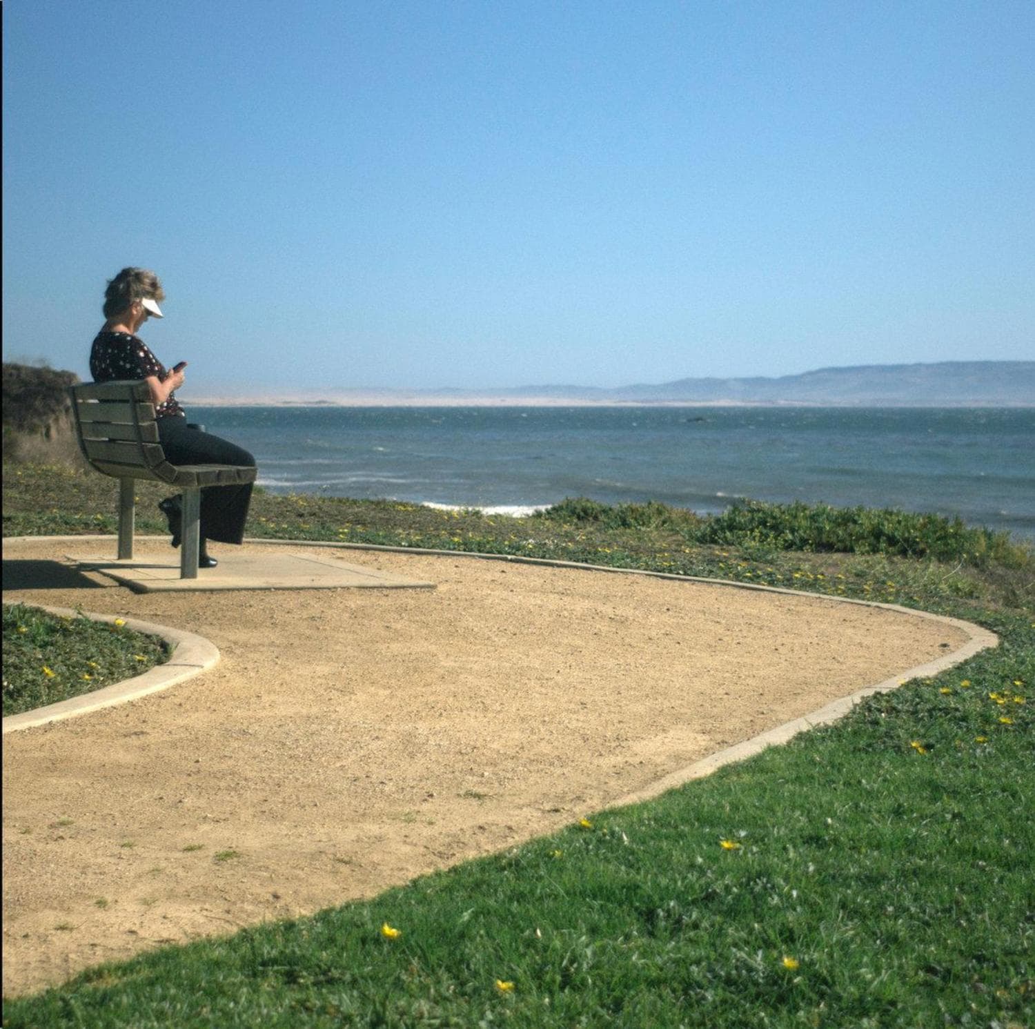 Cover art for Disheveled Cuss