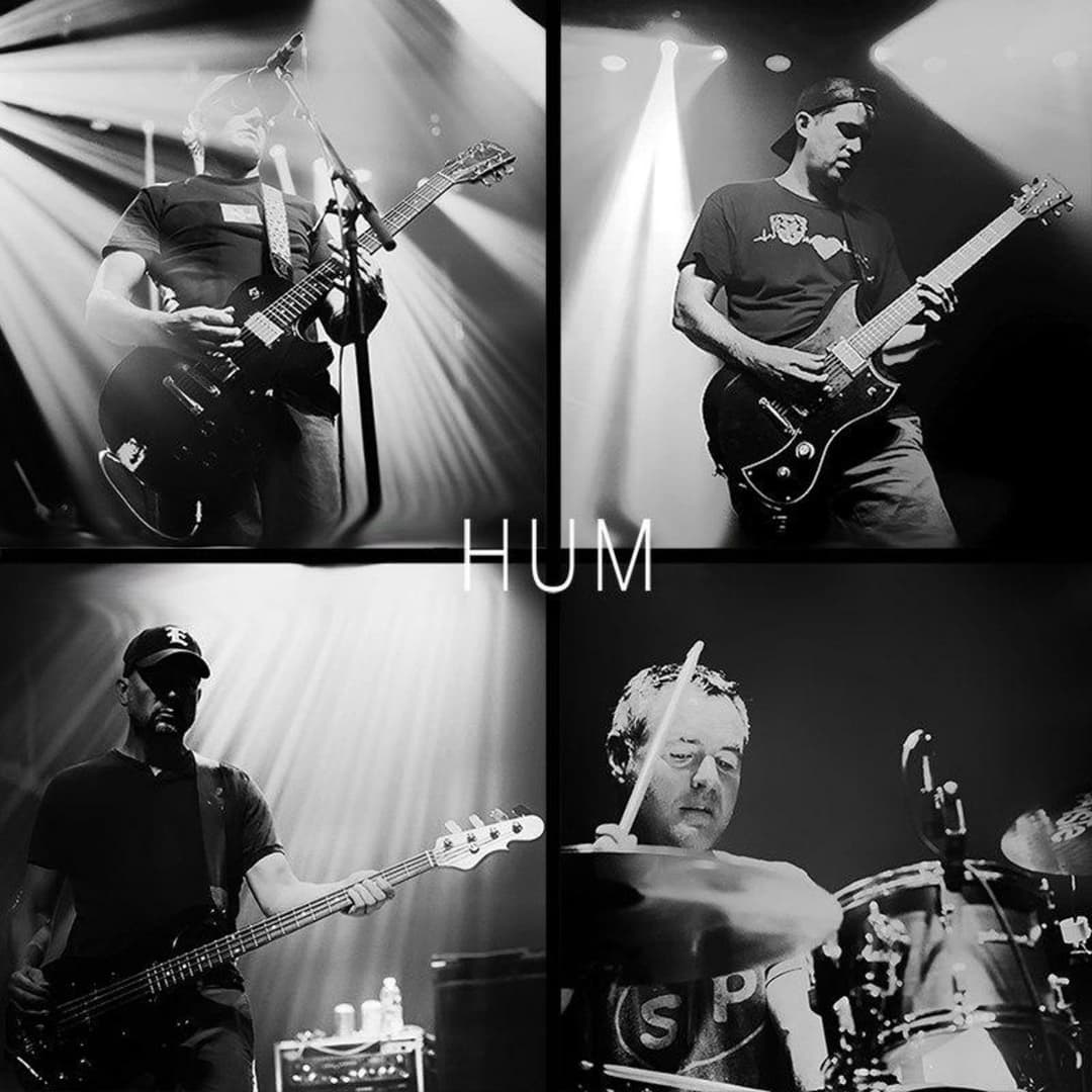 image of Hum