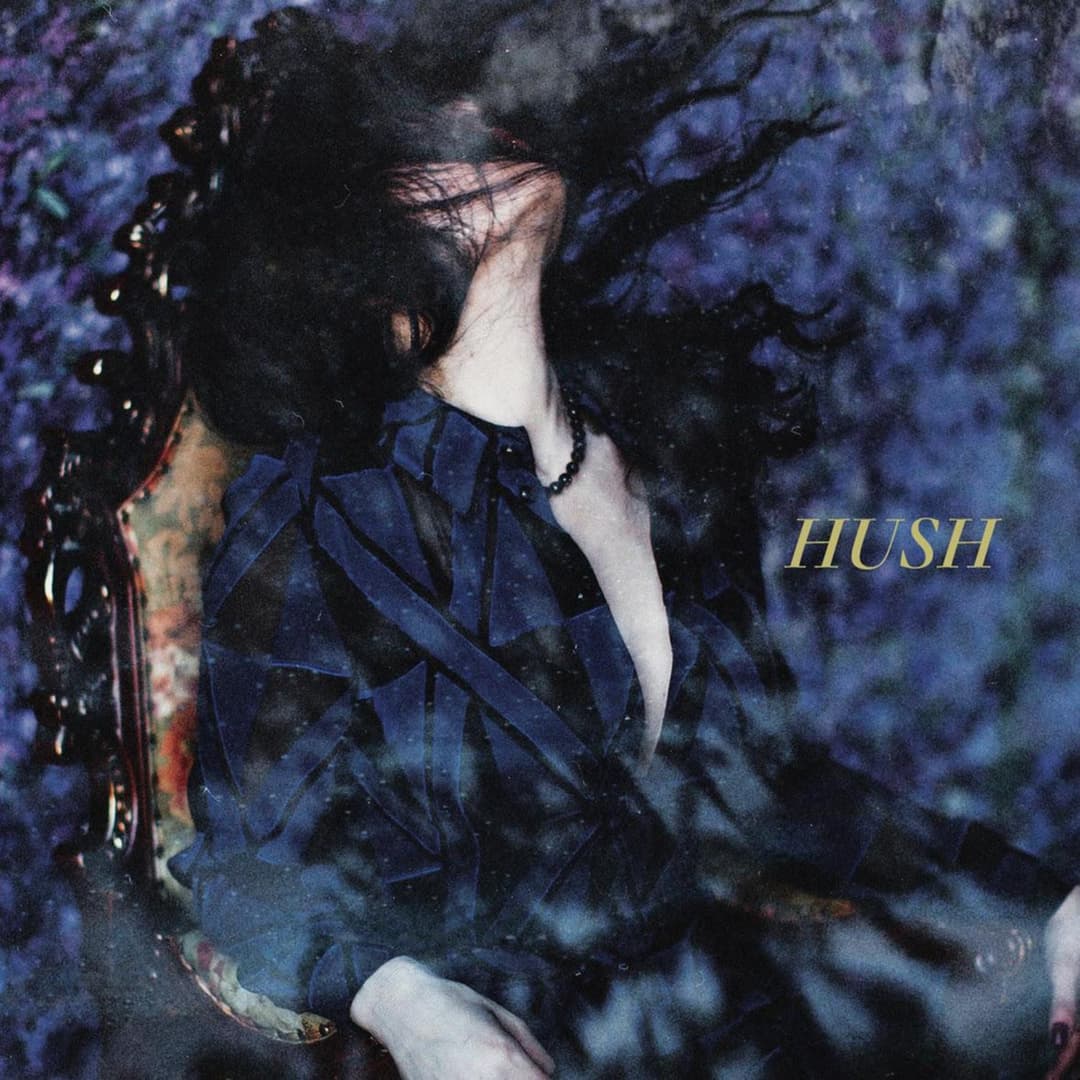 image of Hush