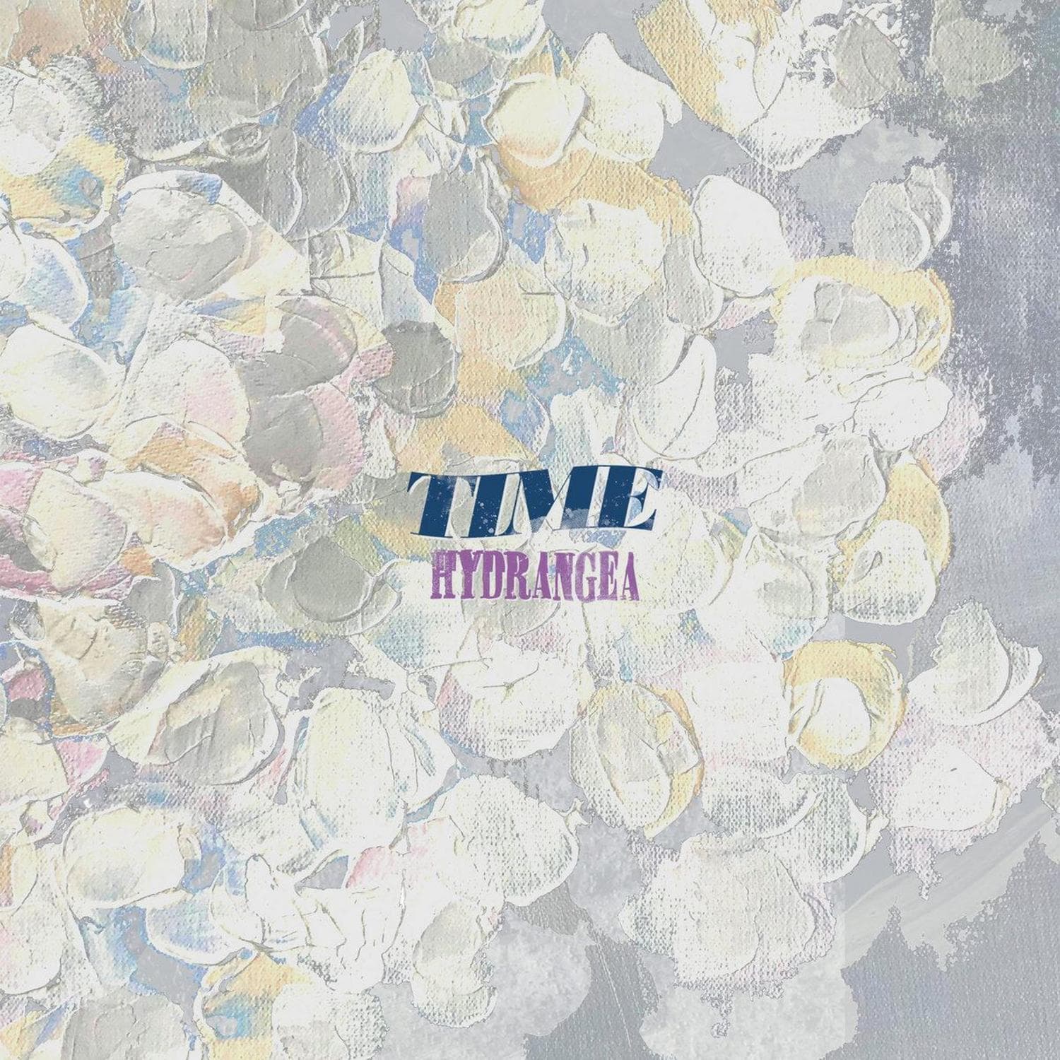 Cover art for hydrangea
