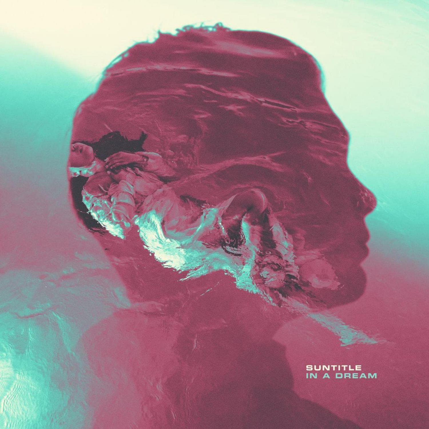 Cover art for In a Dream