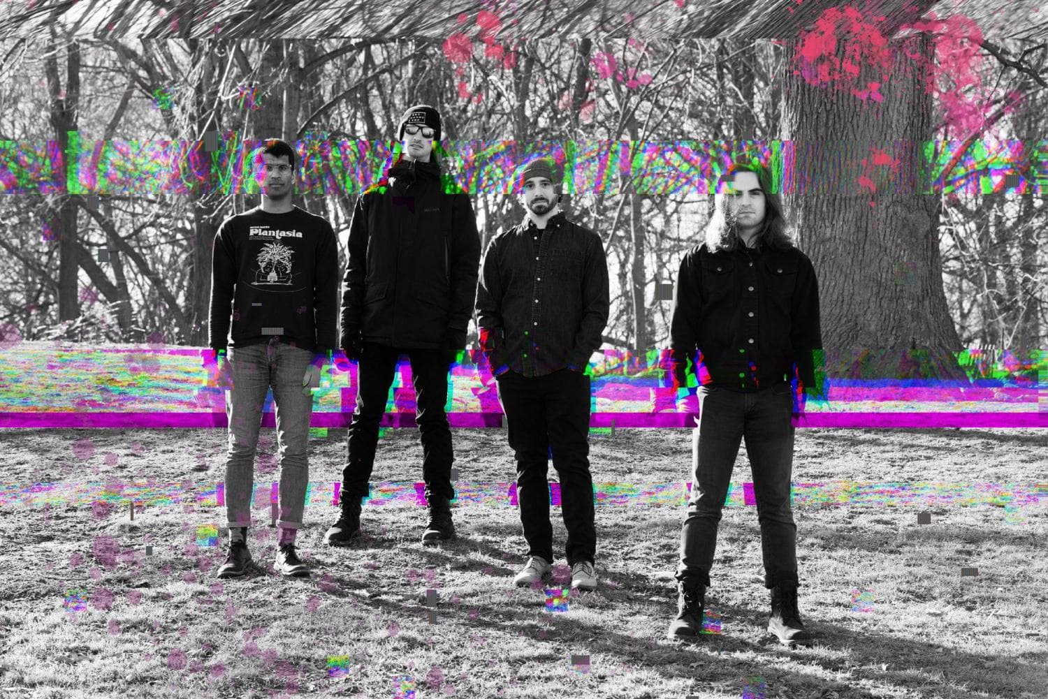 image of Semaphore Share New Single “Bunny” from Forthcoming LP Despite What You Say