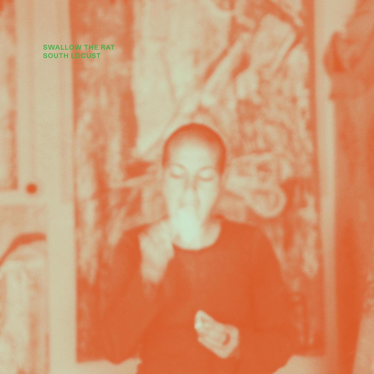 Cover art for South Locust