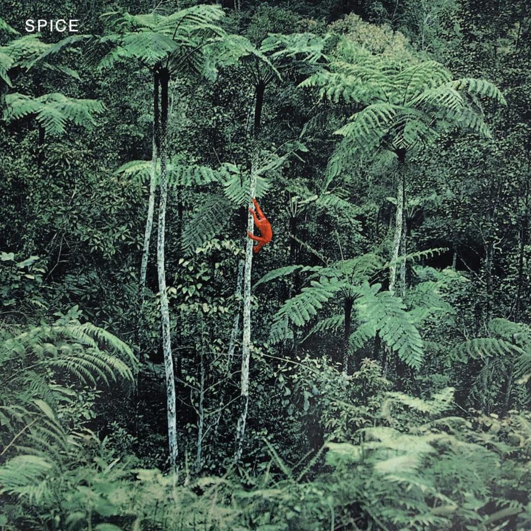image of Spice