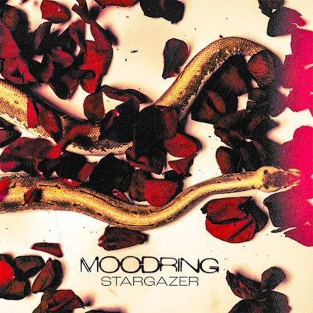 image of Stargazer