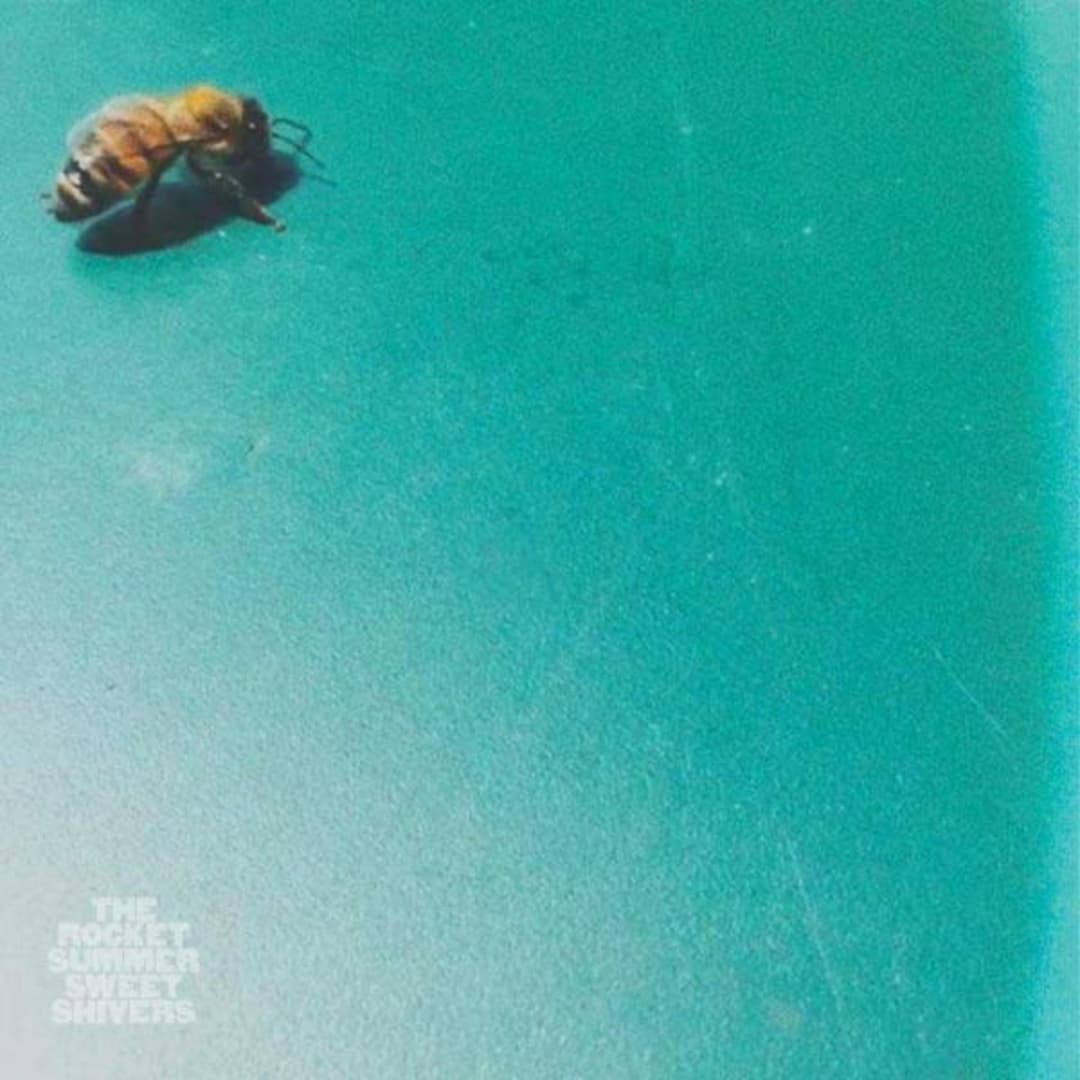 image of Sweet Shivers