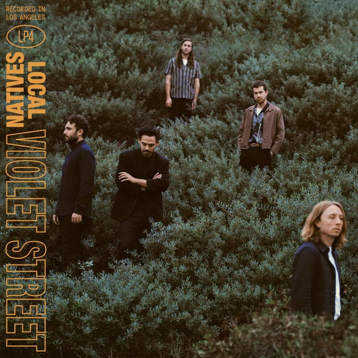 Local Natives — Violet Street