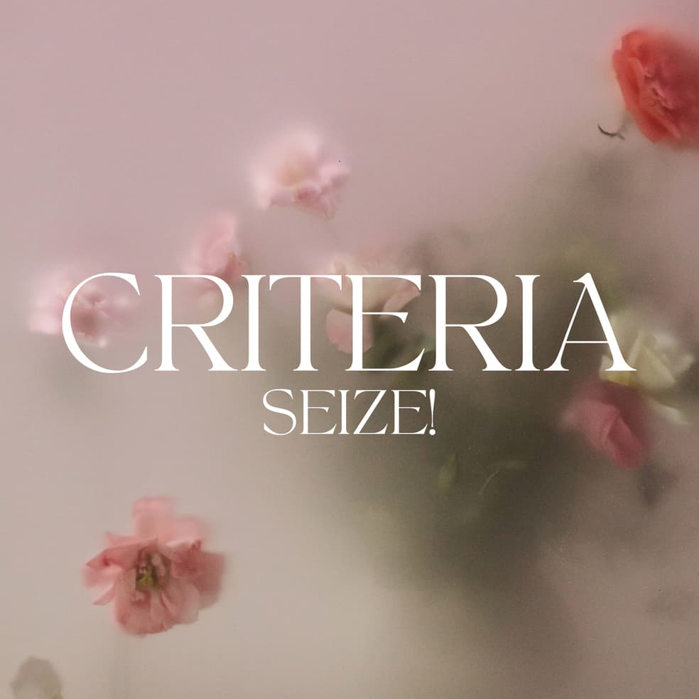 Seize! by Criteria album cover art - Indie Rock, Grunge, 90s Alt Rock, Post Hardcore