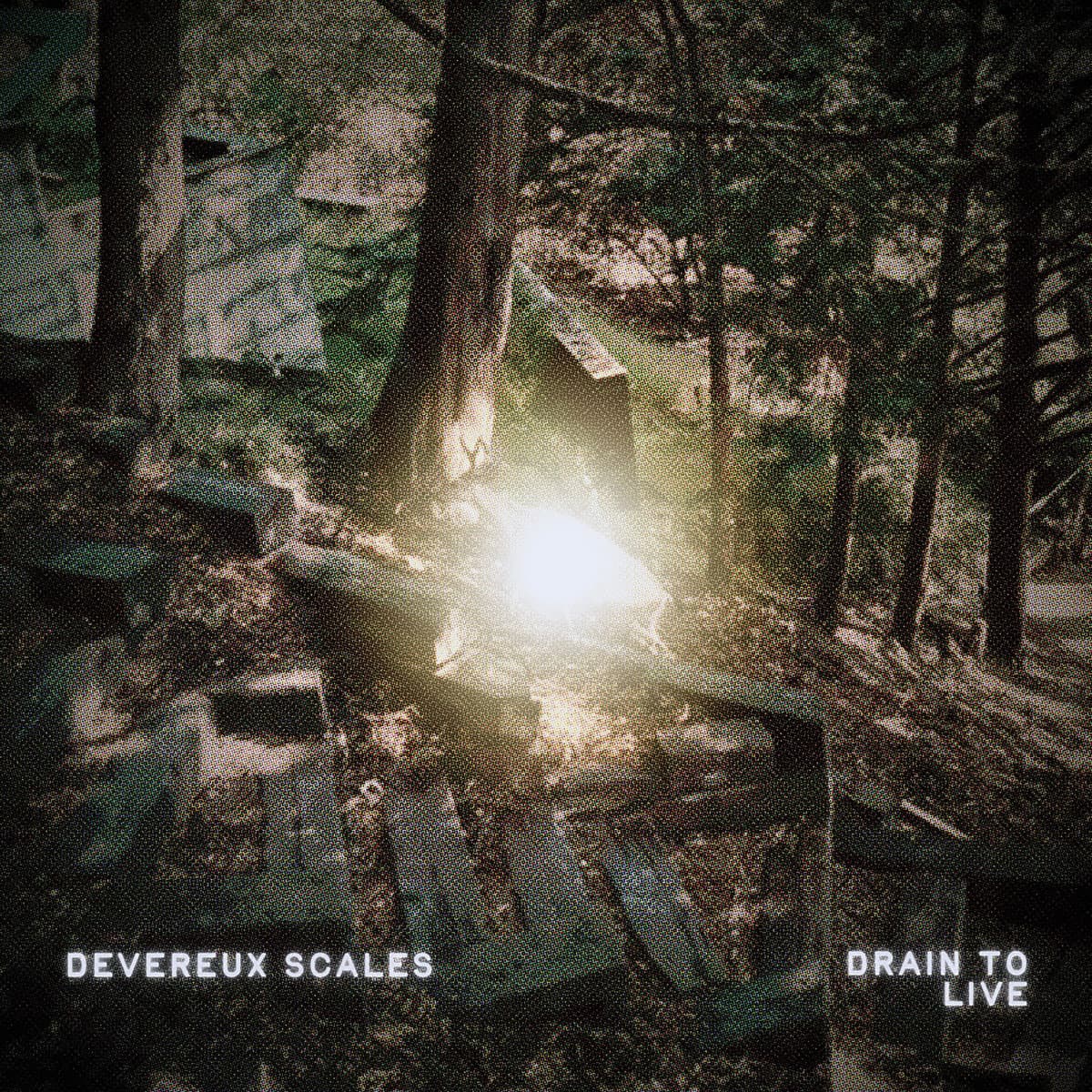 Devereux Scales — Drain to Live