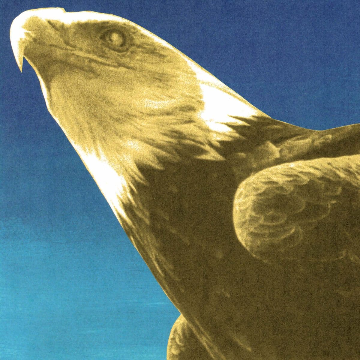 Protomartyr Announce New Album Hotel Usona, Share “Sounds We Cannot Hear”