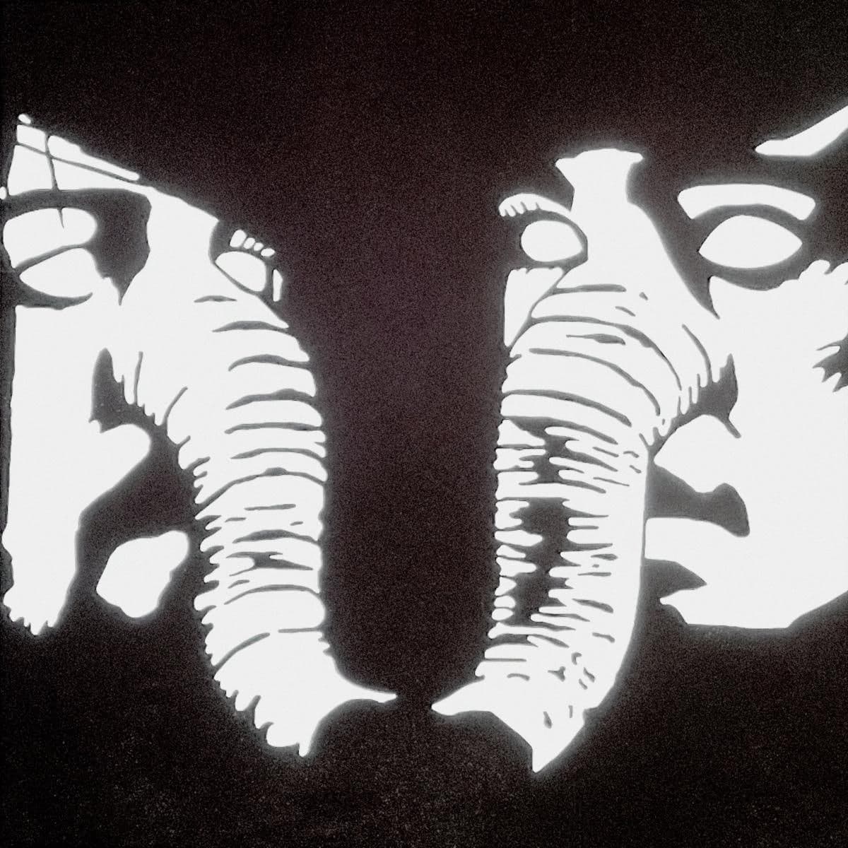 Private Lives by Death From Above 1979 album cover art - Noise Rock, Punk Rock, Alternative Rock, Garage Rock, Dance-Punk