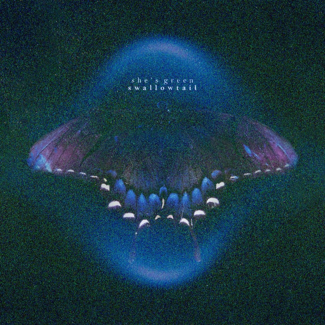 image of swallowtail