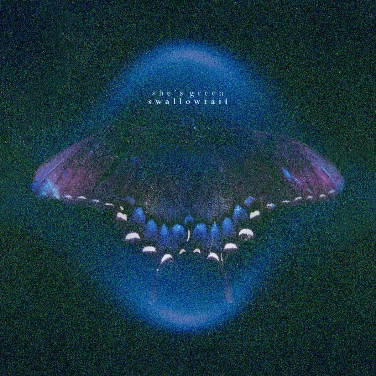 she's green — swallowtail