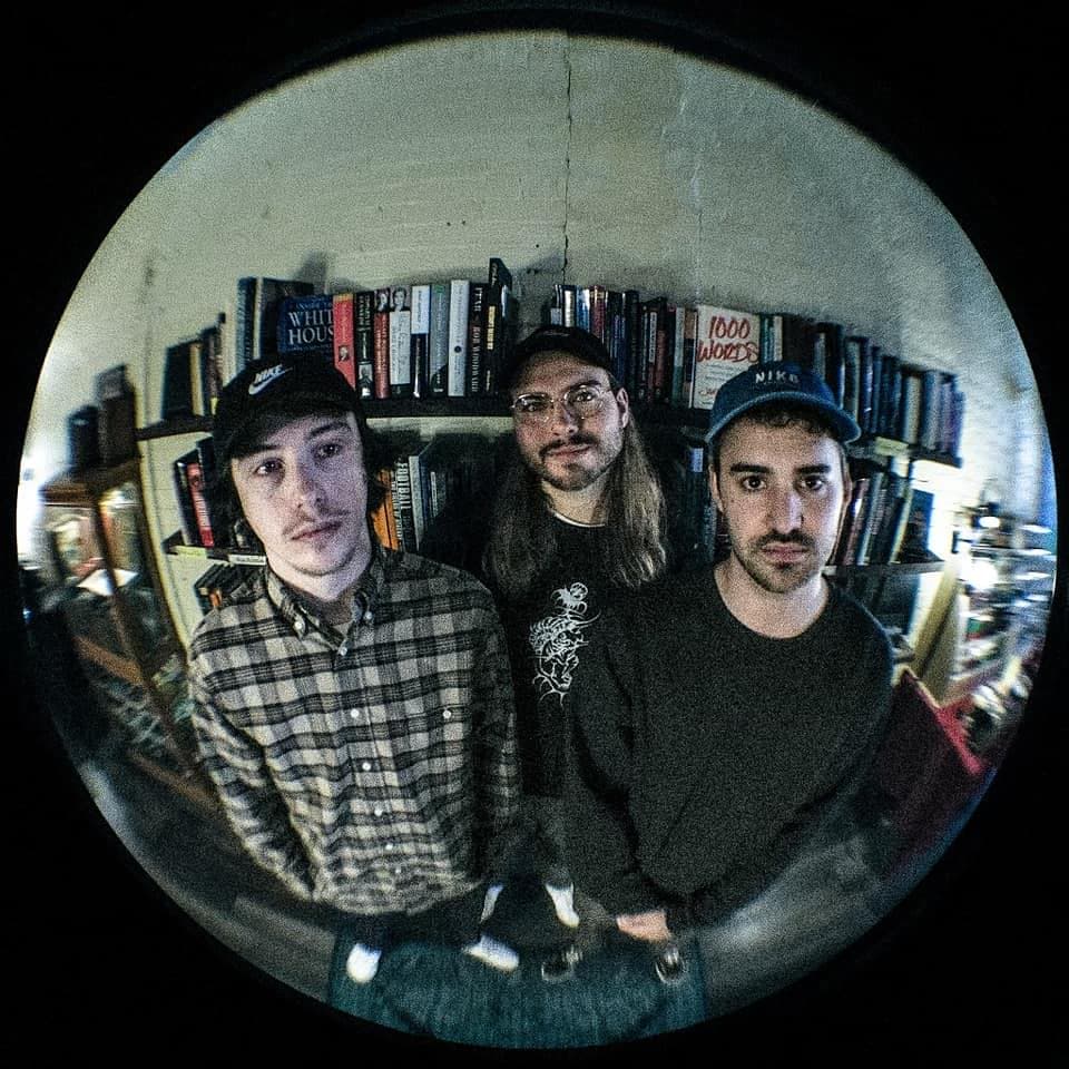 A Modest Proposal musician - artist profile photo