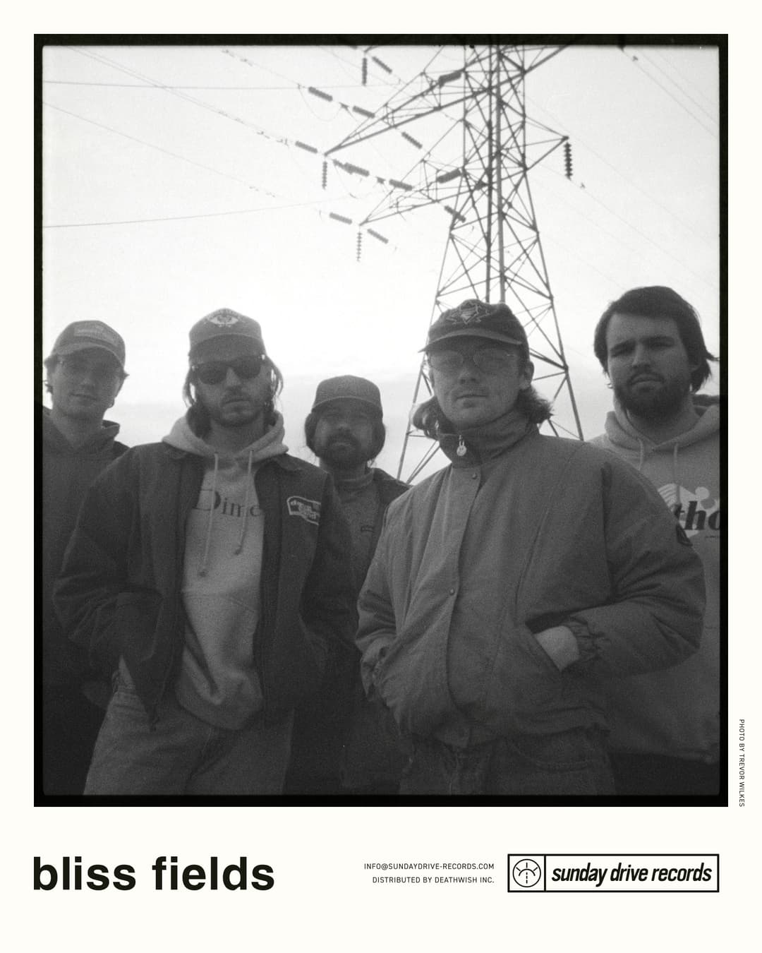 image of Bliss Fields