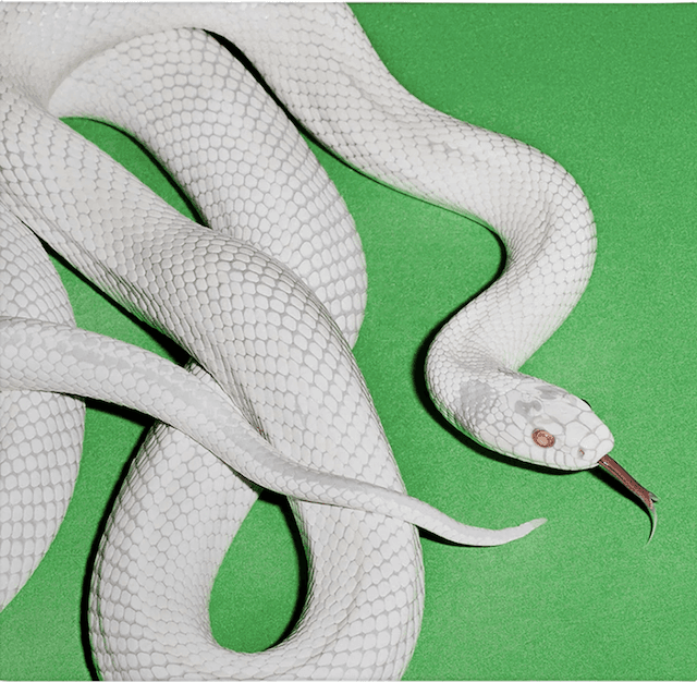 Cover art for Private Music