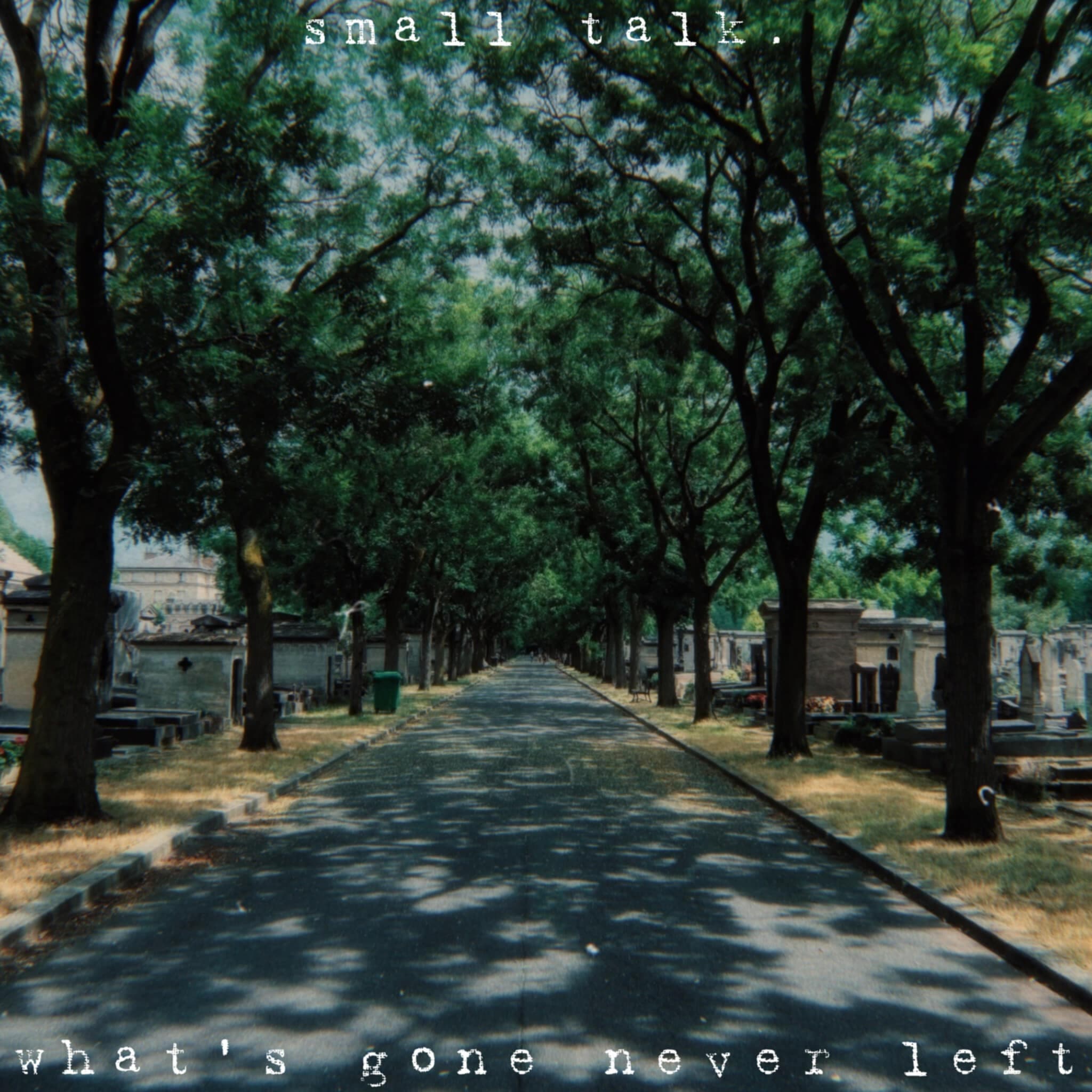 Cover art for Whats Gone Never Left