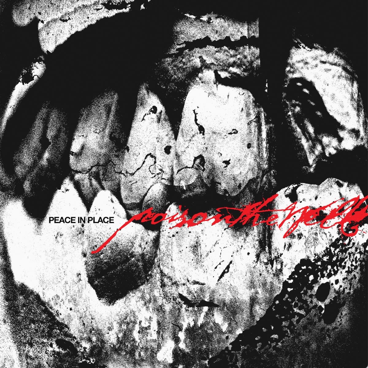 Cover art for Peace In Place