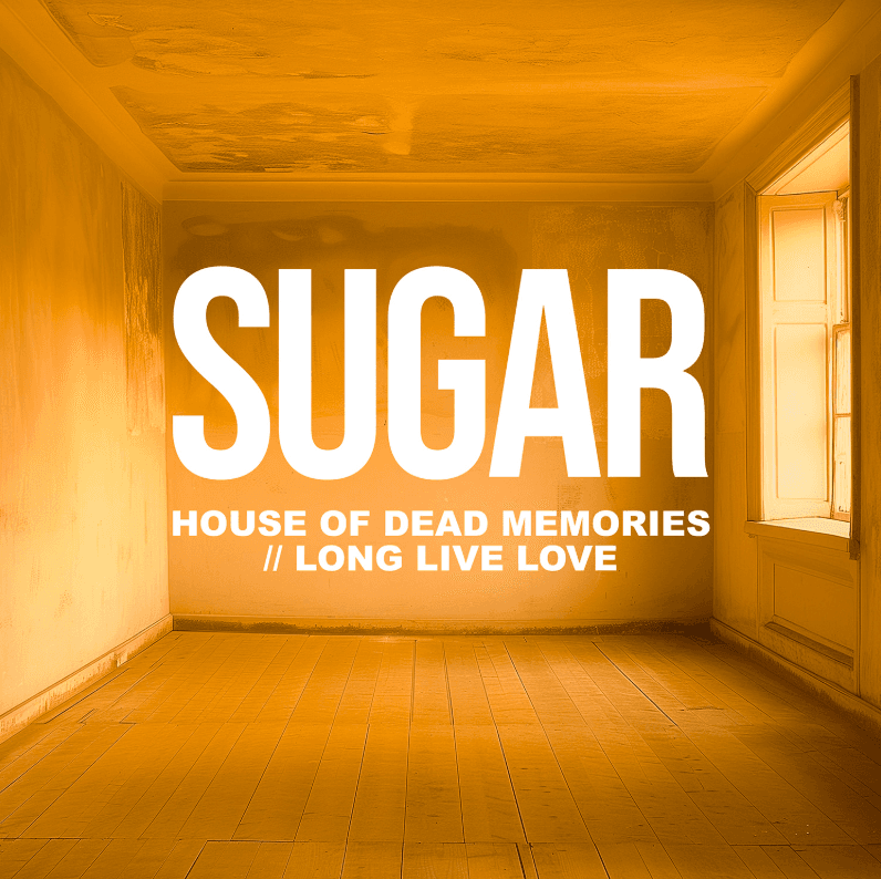 House of Dead Memories // Love You Even Still 7" by Sugar album cover art - Alternative Rock