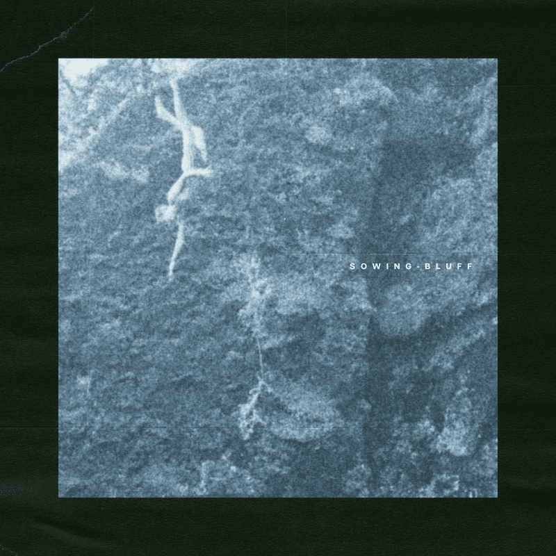 Sowing — Bluff