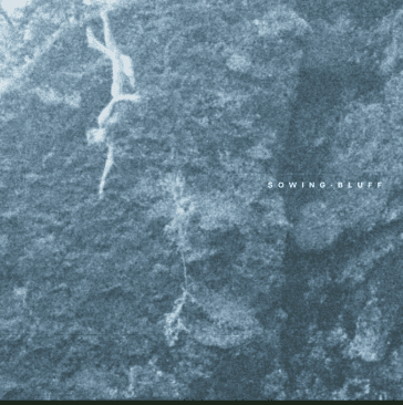 Sowing — Bluff