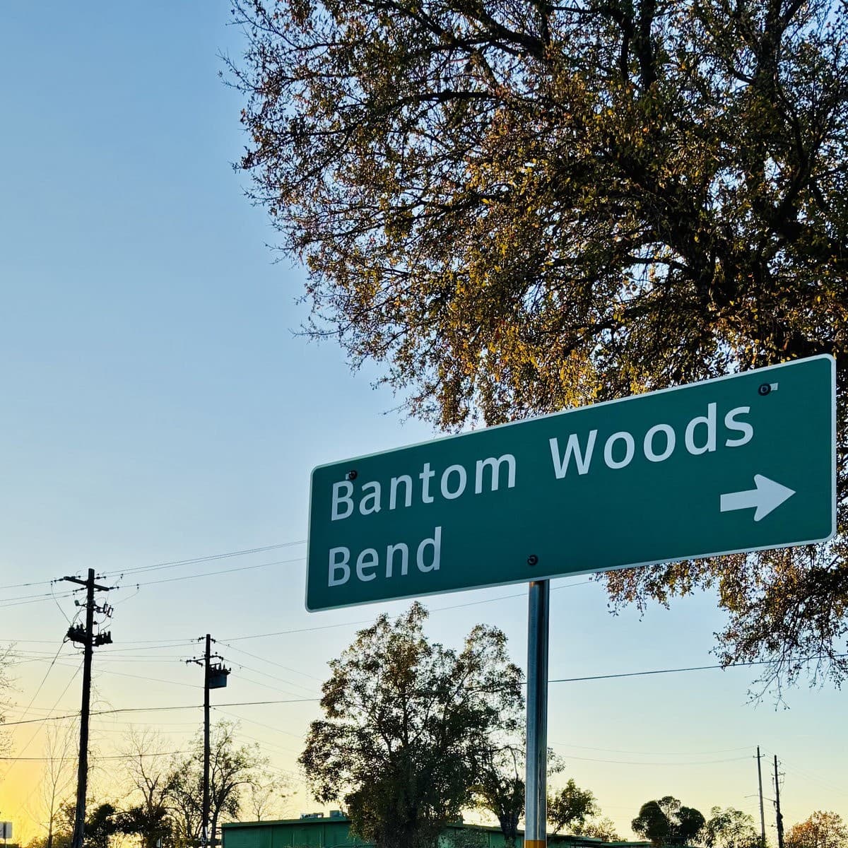 Bantom Woods — Bend