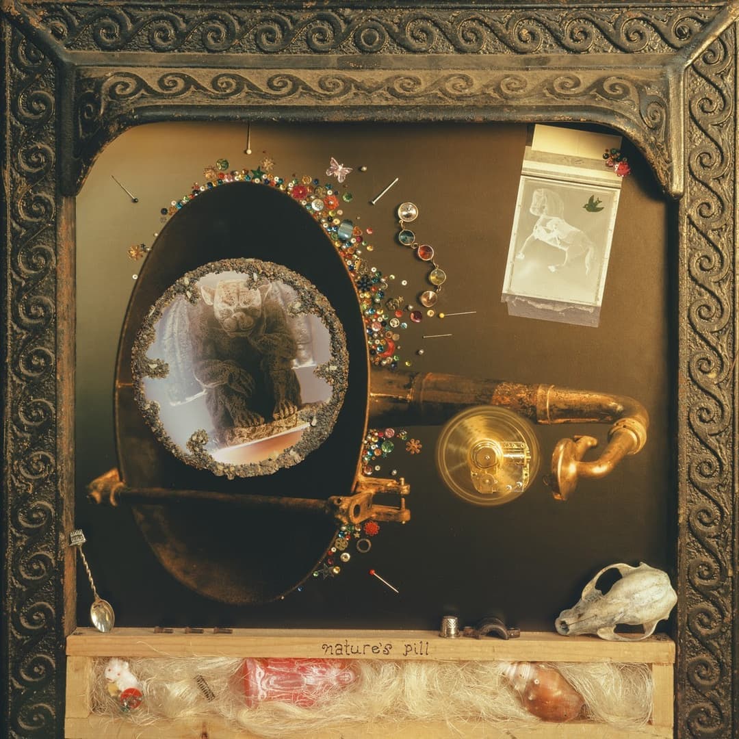 Nature's Pill by Wishy album cover art - Dream Pop, Indie Rock, Shoegaze, 90s Alternative