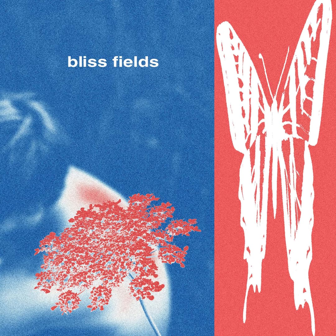 Bliss Fields by Bliss Fields album cover art - Rock