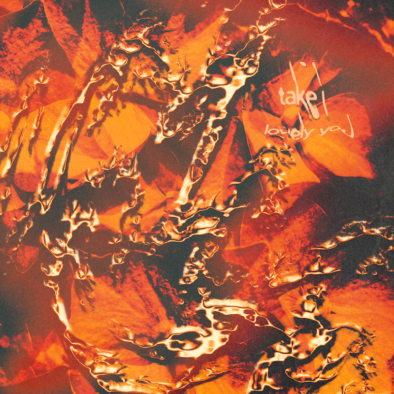 take i lovely you by Muted Color album cover art - Dream Pop
