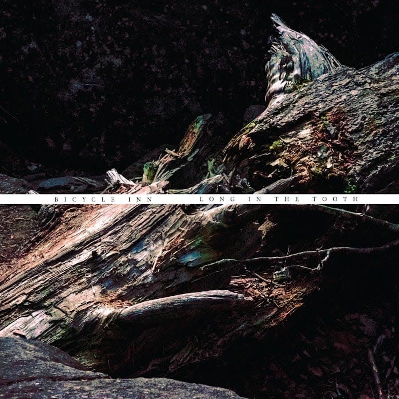 Long In The Tooth by Bicycle Inn album cover art - Pop Punk, Alt Rock, Emo, Post Hardcore