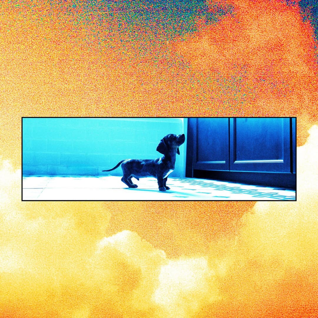 Darker, Louder by New Year Memorial album cover art - Alt Rock, Emo, Emo Pop