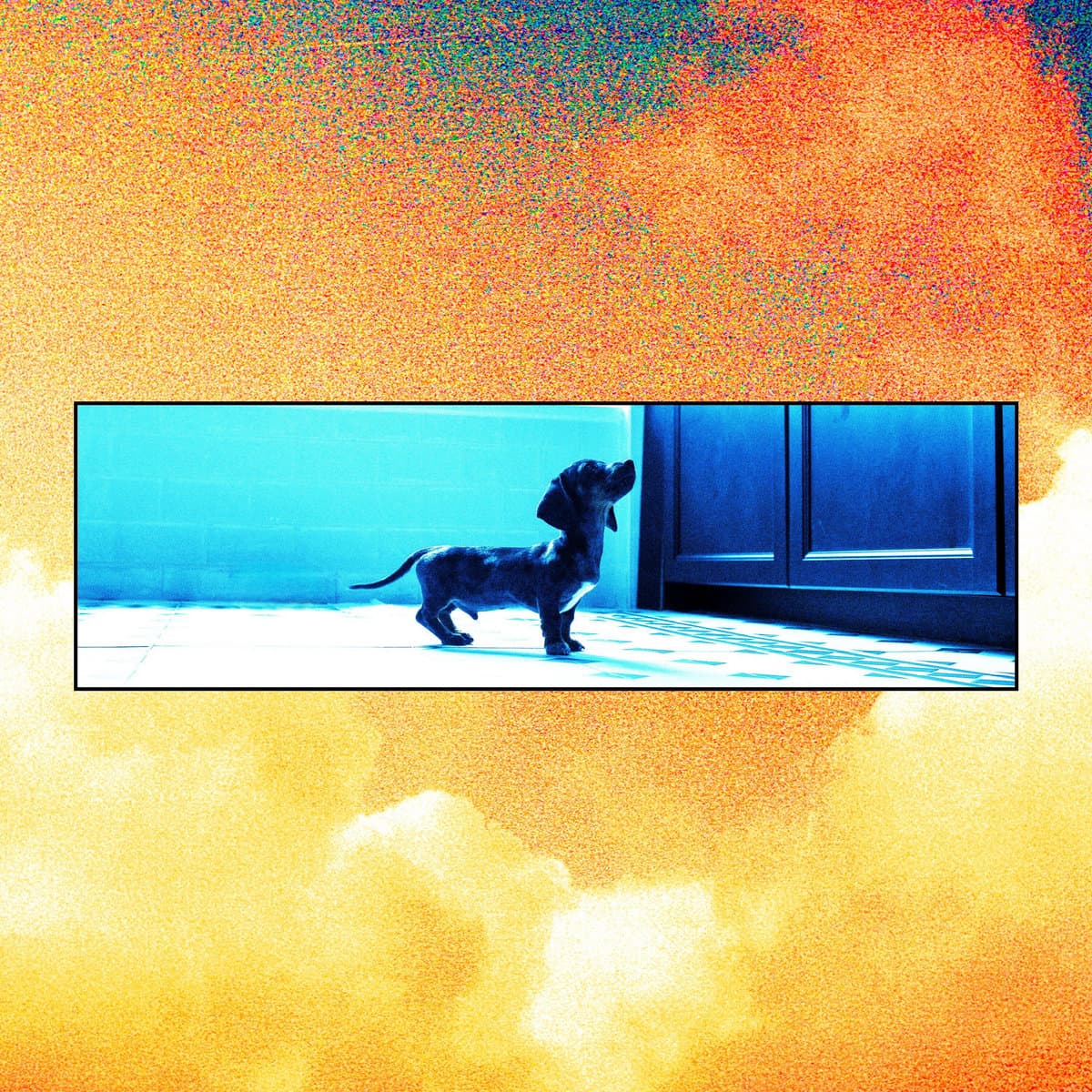 Cover art for Darker, Louder