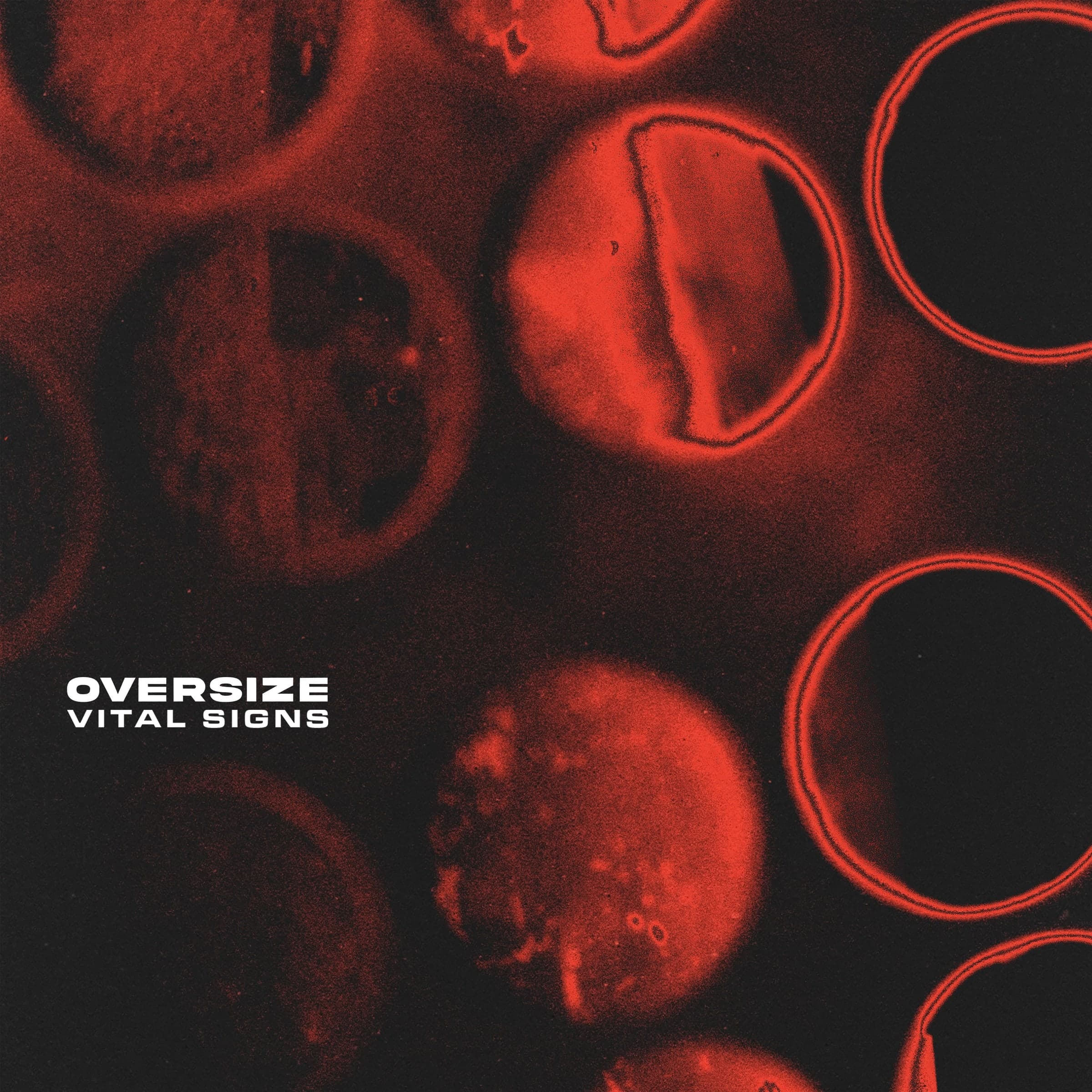 Oversize — Vital Signs