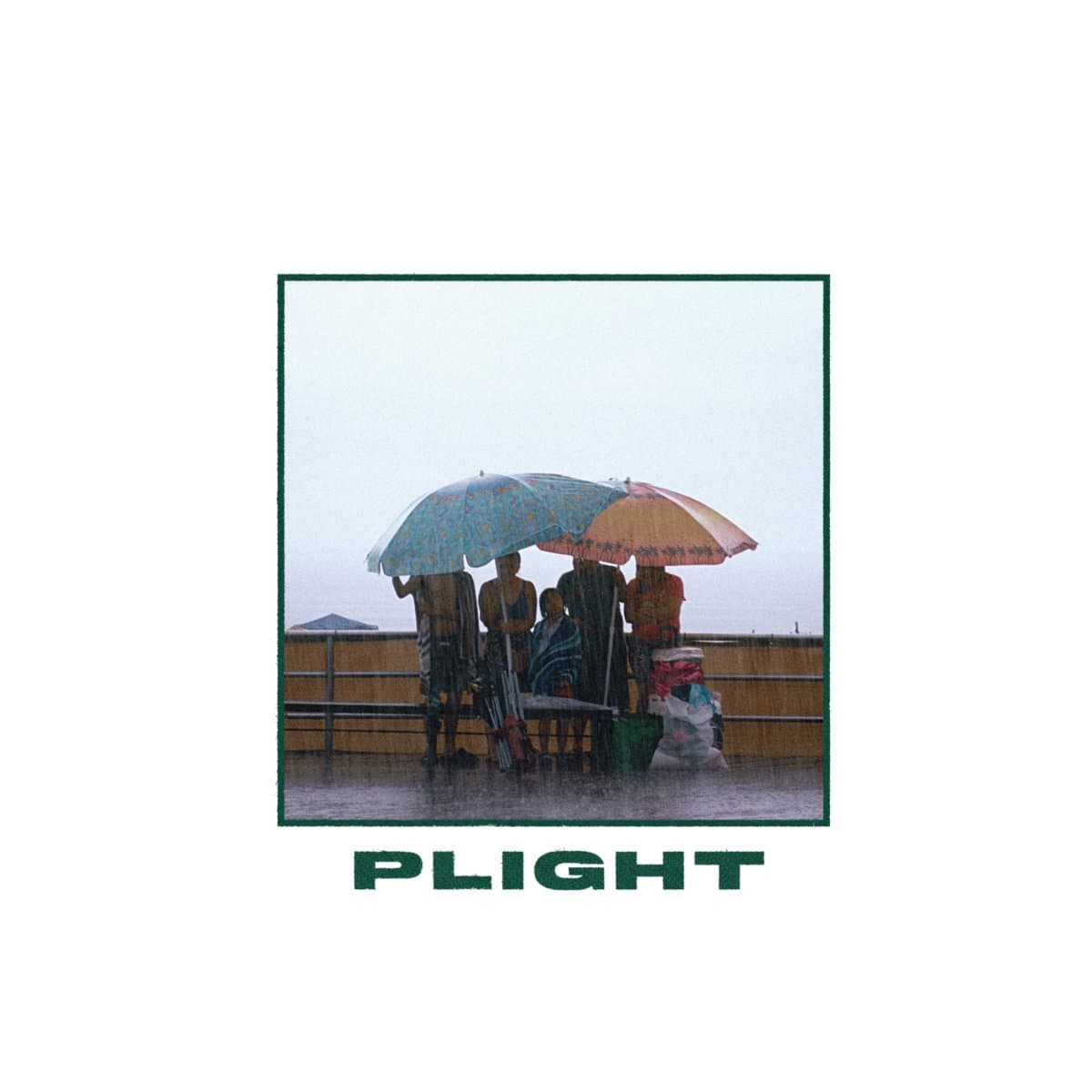 Cover art for Plight