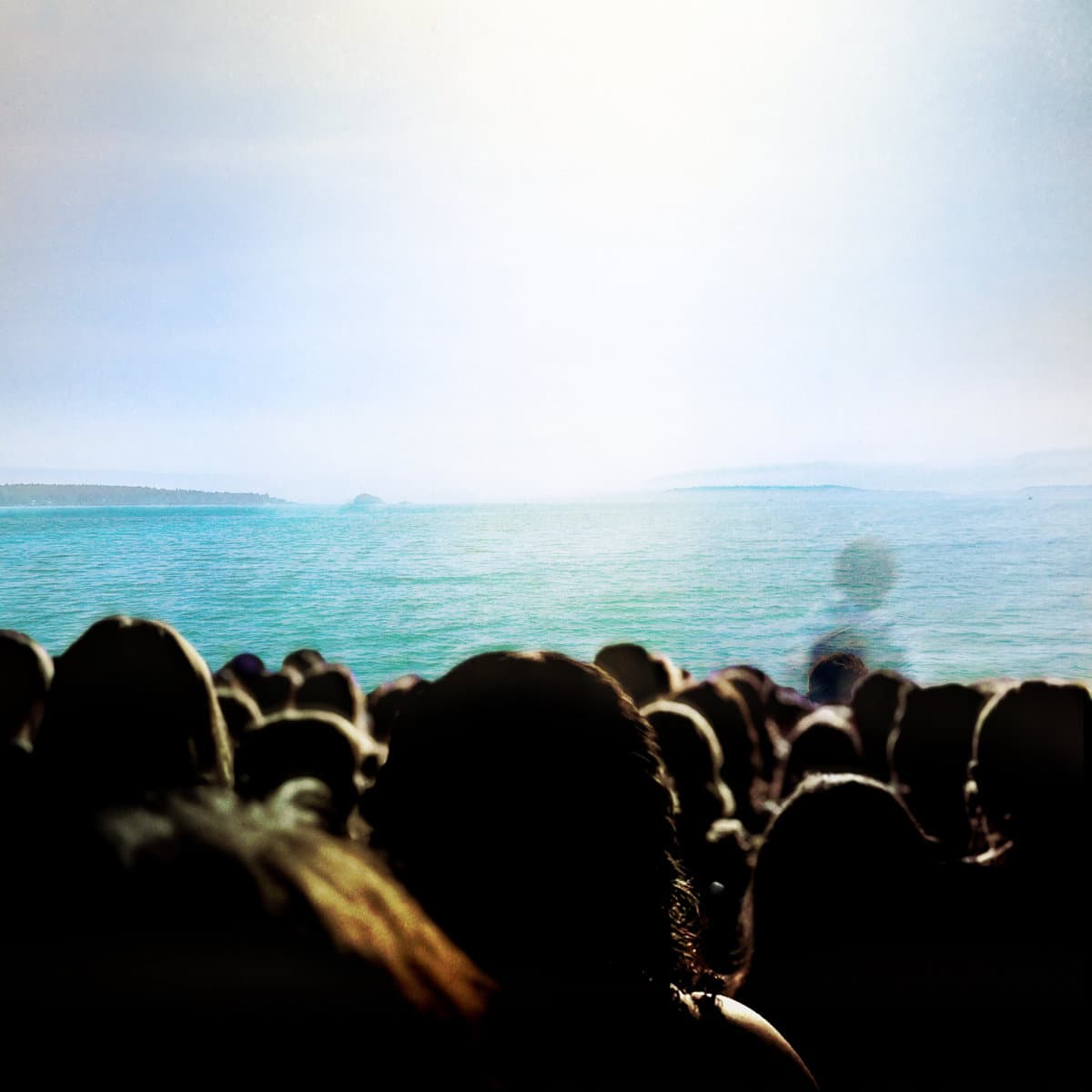 Cover art for The Nope Out