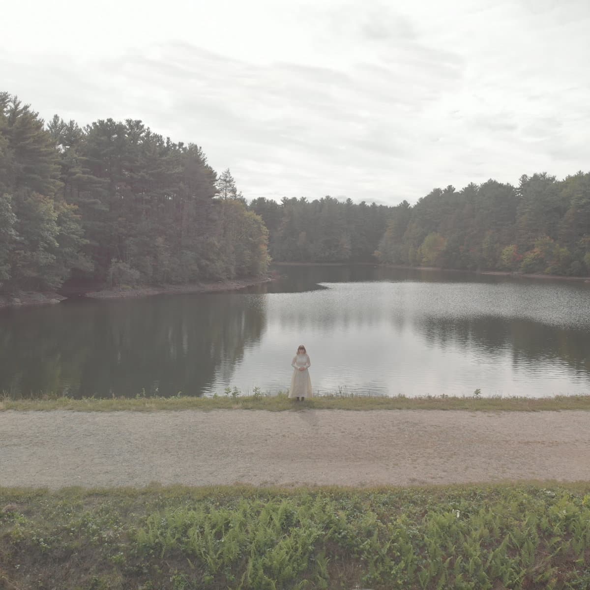 Cover art for We Won't Survive the Comet
