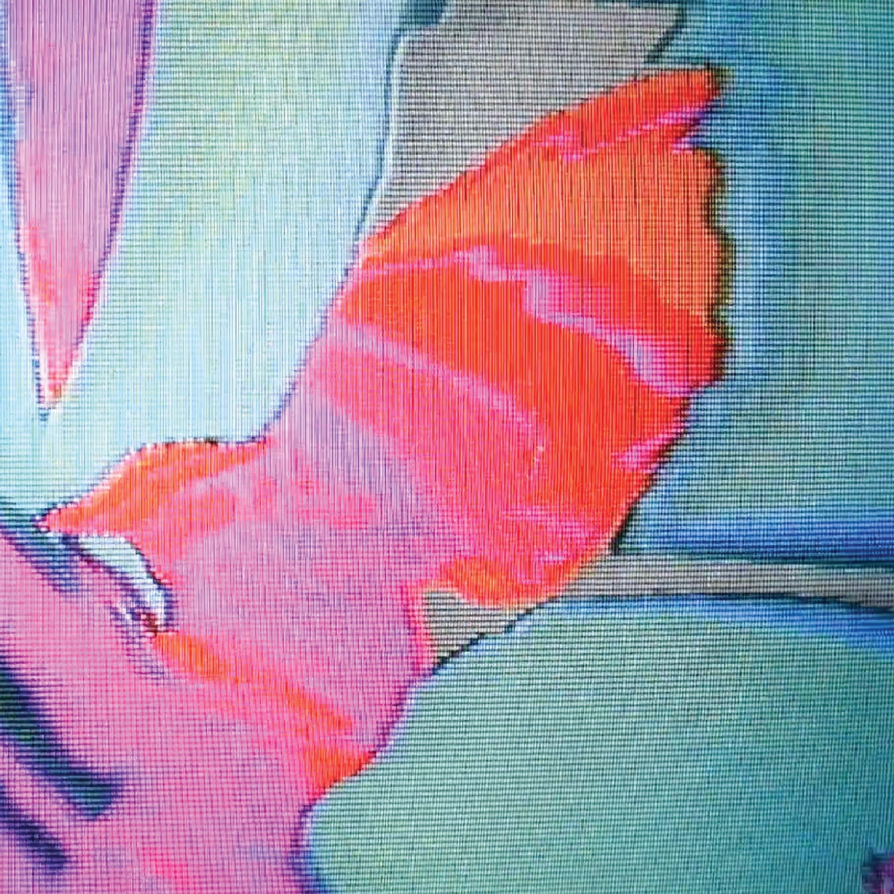 Double Scoop by Bed Bug Guru album cover art - Grunge, Alt Rock, Grungegaze, Noise Rock, Slacker Rock