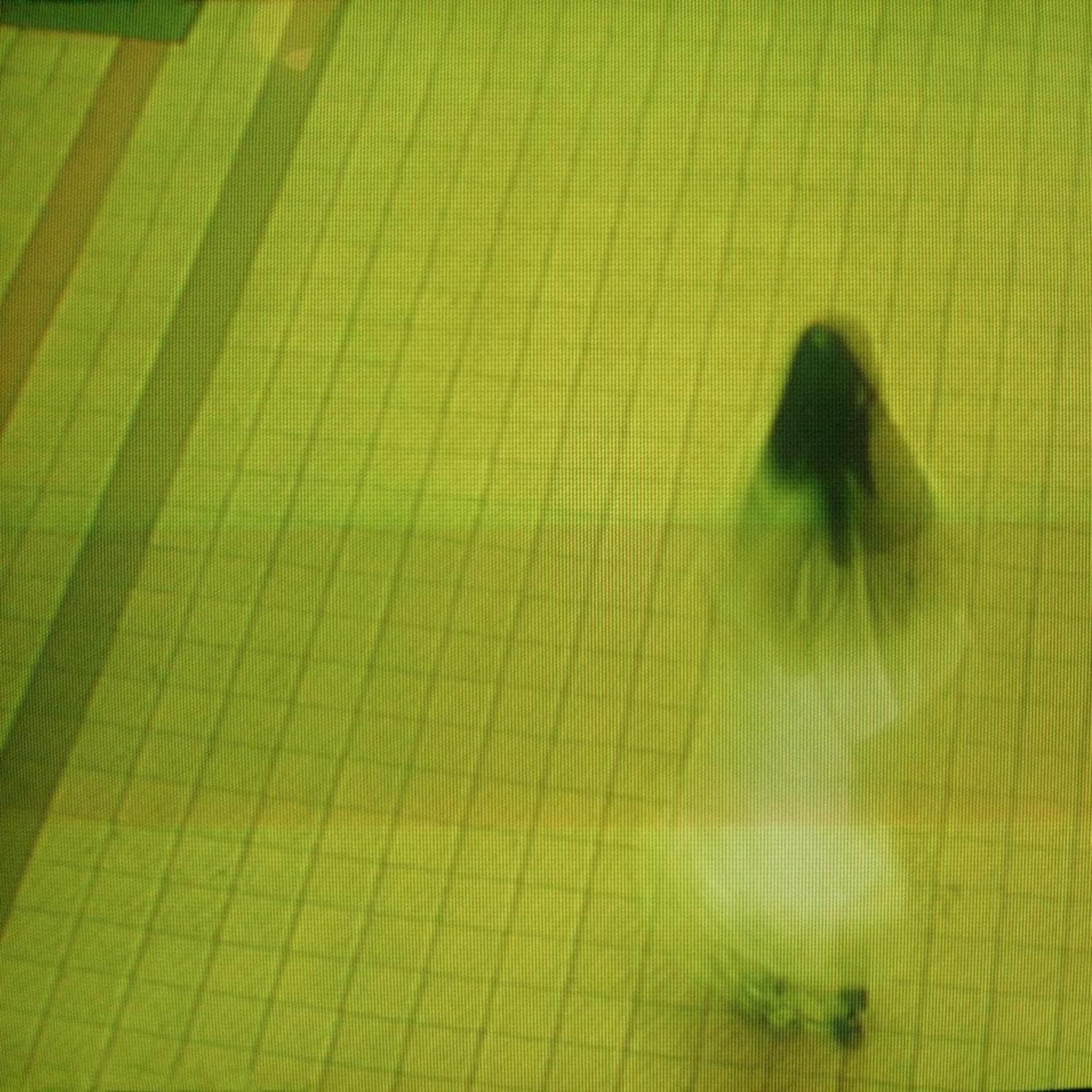 Cover art for Actually, the quiet is nice