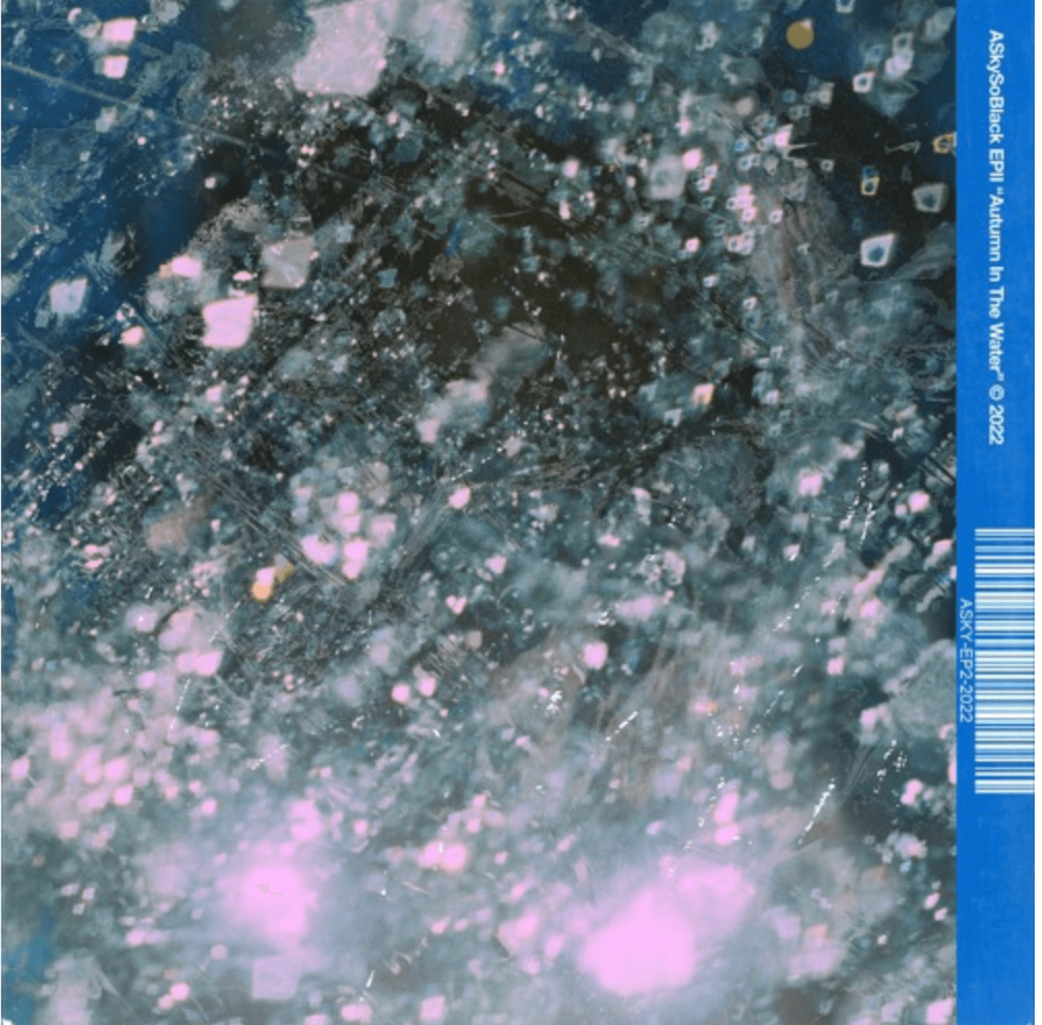 Cover art for Autumn In The Water