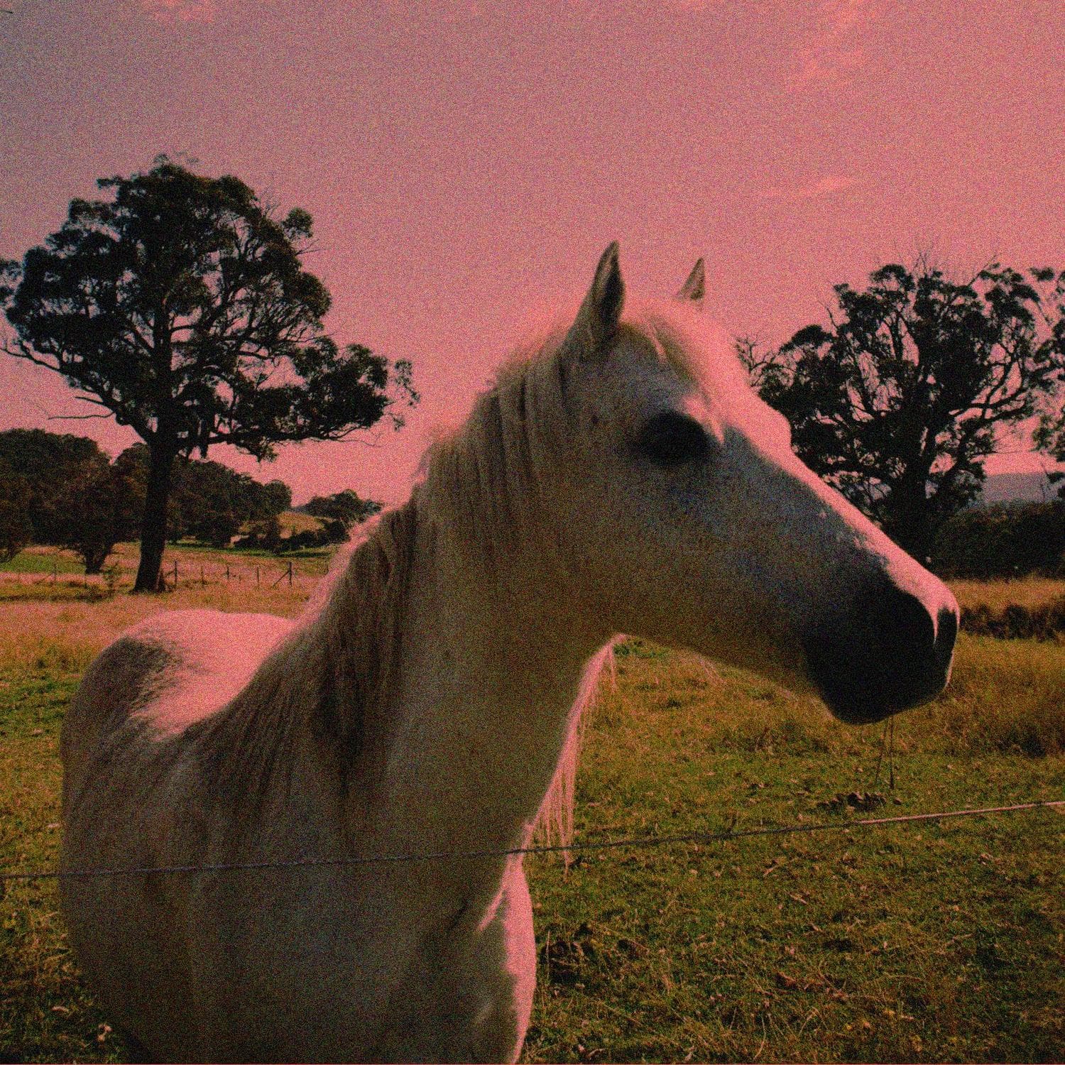 Cover art for Candyland