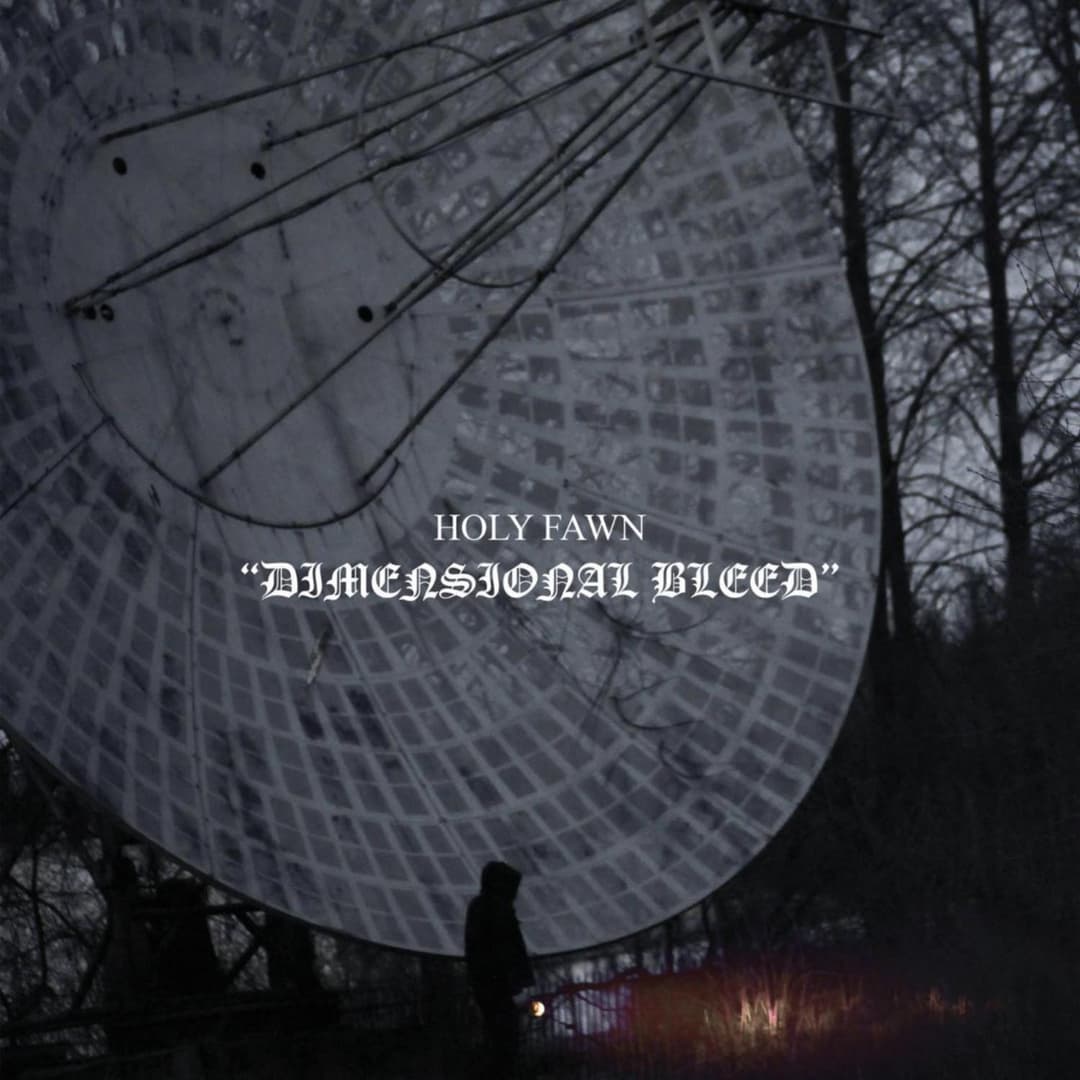 Dimensional Bleed by Holy Fawn album cover art