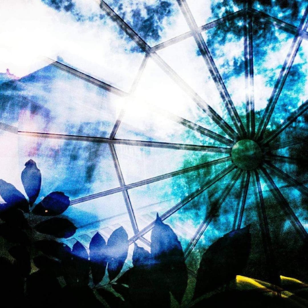 image of Dreams In A Different Place