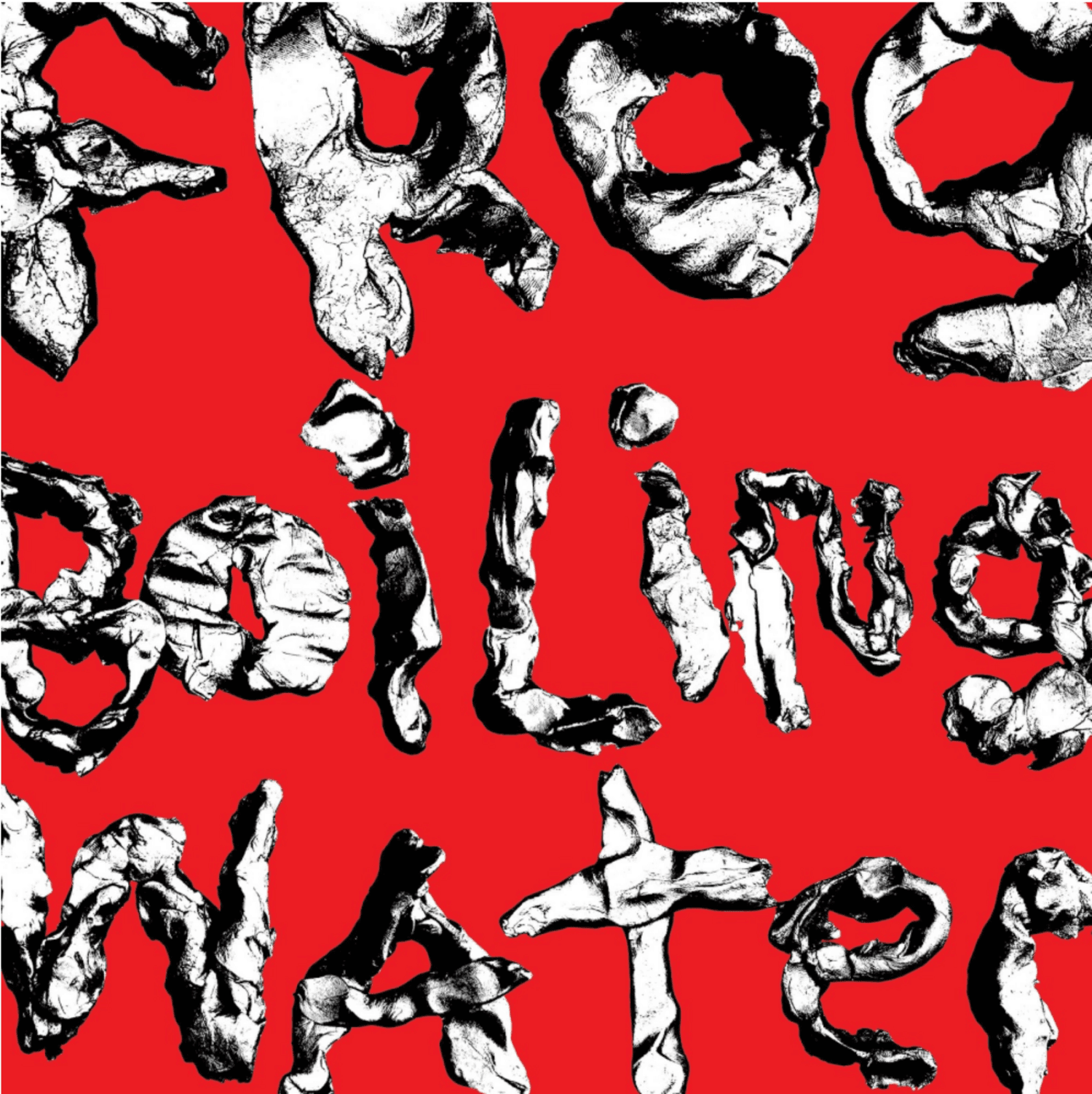 Cover art for Frog In Boiling Water